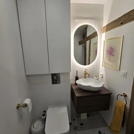 Apartment Escapade Troyenne