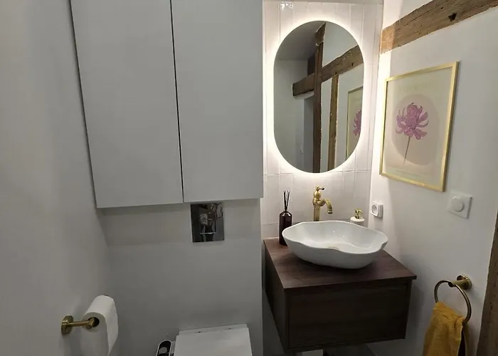 Apartment Escapade Troyenne